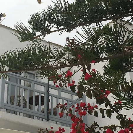Prestige On The Naxos City